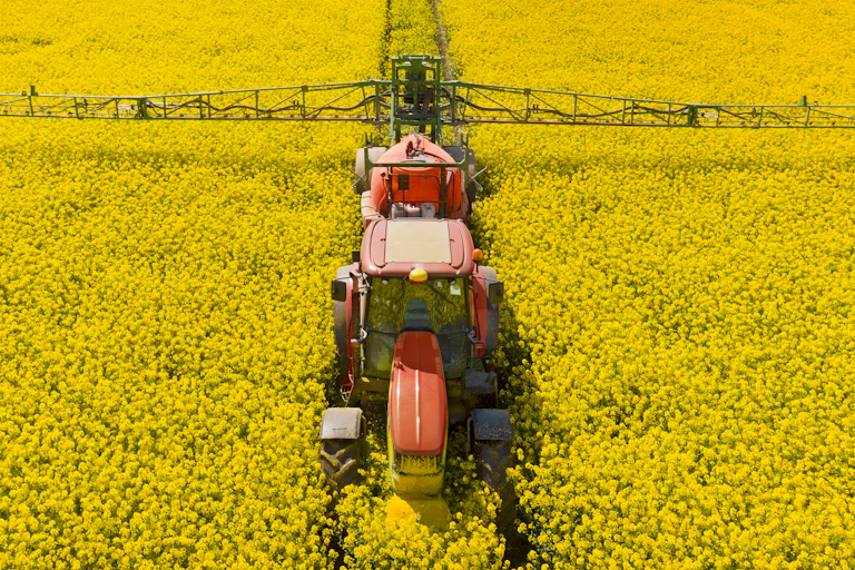 Aerial shot of red tractor with large spraying arms driving up the middle of a bright yellow crop of oil seed rape crop, blue sky at the top of picture