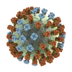 Illustration of a spherical influenza virus, with red and blue spikes studding its surface