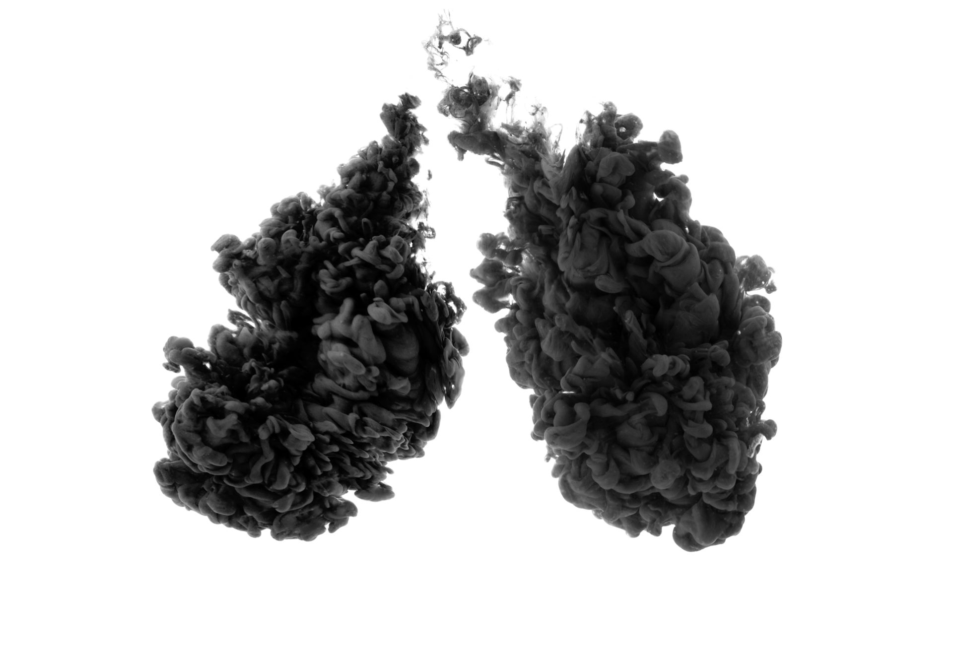 Pulmões criados em laboratório ajudam a entender como a poluição do ar  afeta nossa saúde, image size:1536x1024