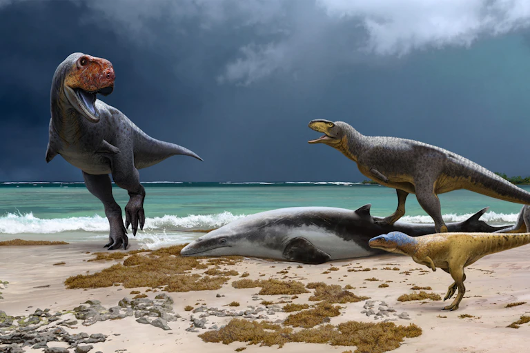 An illustration of dinosaurs