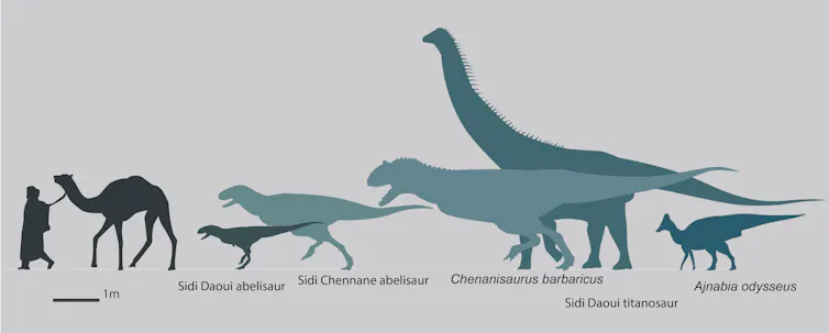 The dinosaurs of the late Maastrichtian of Morocco. By Nick Longrich