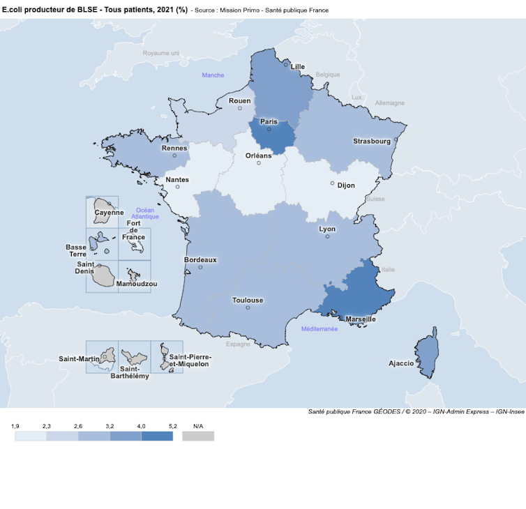 Carte indiquant les pourcentages de bactéries E. coli résistantes aux antibiotiques détectées sur le territoire français.