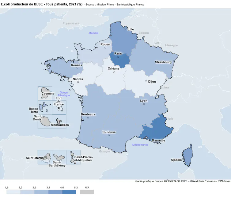 Carte indiquant les pourcentages de bactéries E. coli résistantes aux antibiotiques détectées sur le territoire français.