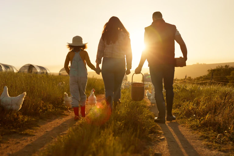 Une famille d'agriculteurs, le père, la mère et l'enfant, marchent sur un chemin, dans un champ. Ils sont de dos. Sur le côté, se trouvent quelques poules.