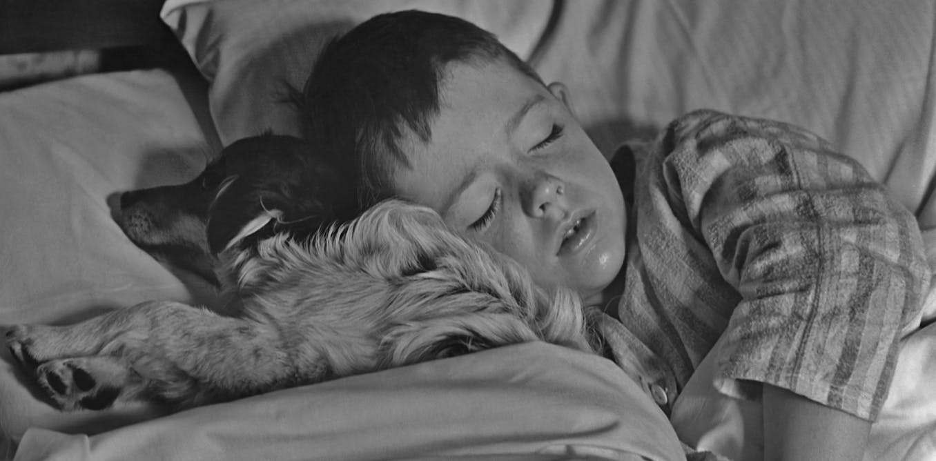 There are benefits to sharing a bed with your pet – as long as you’re scrupulously clean There are benefits to sharing a bed with your pet – as long as you’re scrupulously clean