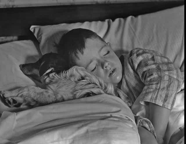 Black and white arial photo of a small boy in striped pyjamas asleep cuddled next to a small dog whose head is also on the pillow