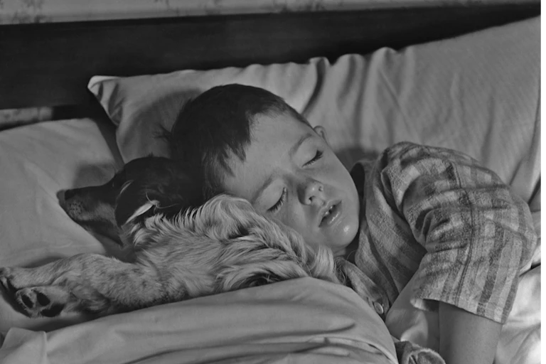 Black and white arial photo of a small boy in striped pyjamas asleep cuddled next to a small dog whose head is also on the pillow