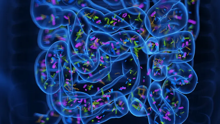 Illustration of the human gut full of microbes