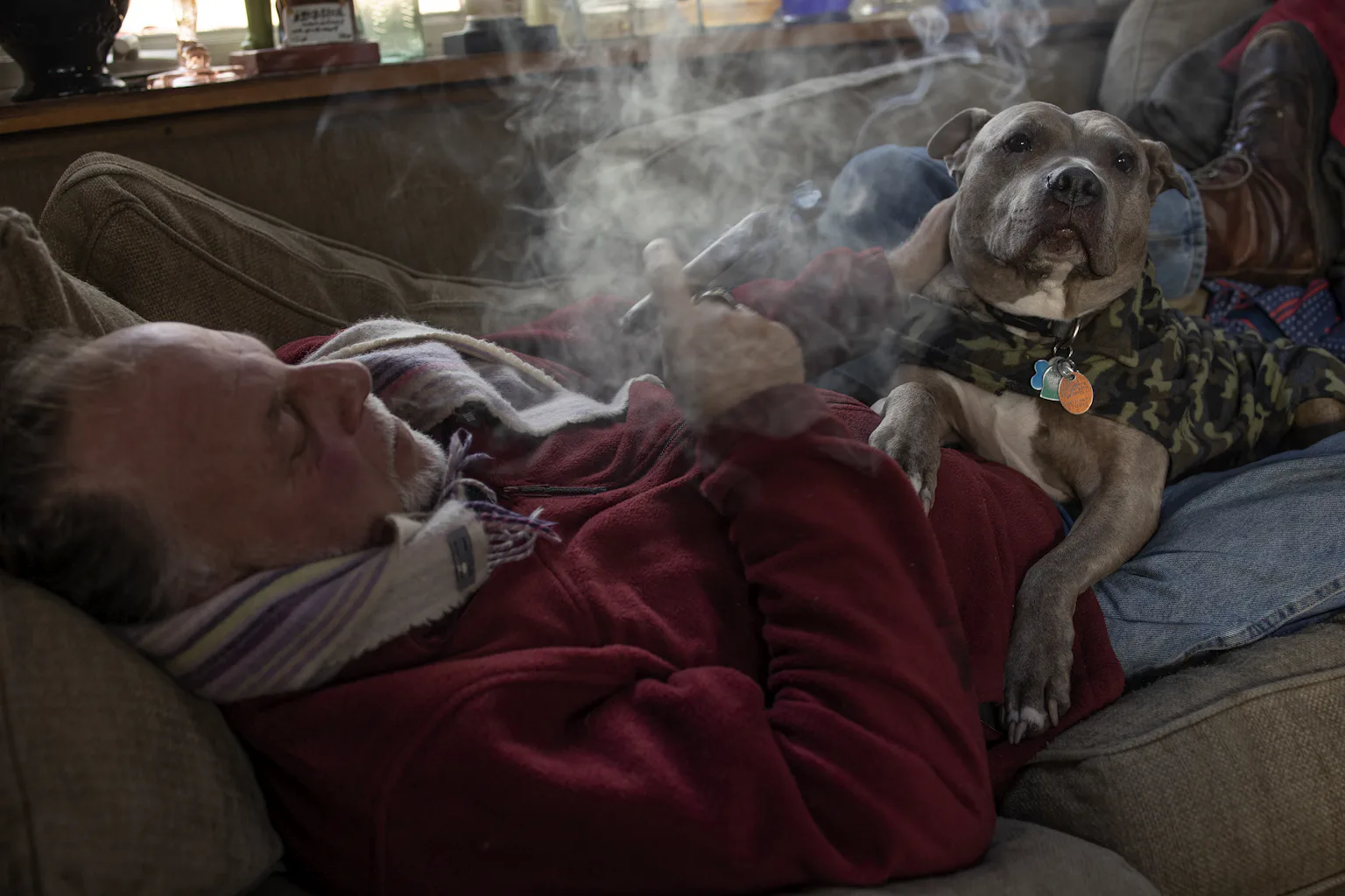 Is your pet exposed to secondhand smoke? Here are the (serious) health risks Is your pet exposed to secondhand smoke? Here are the (serious) health risks