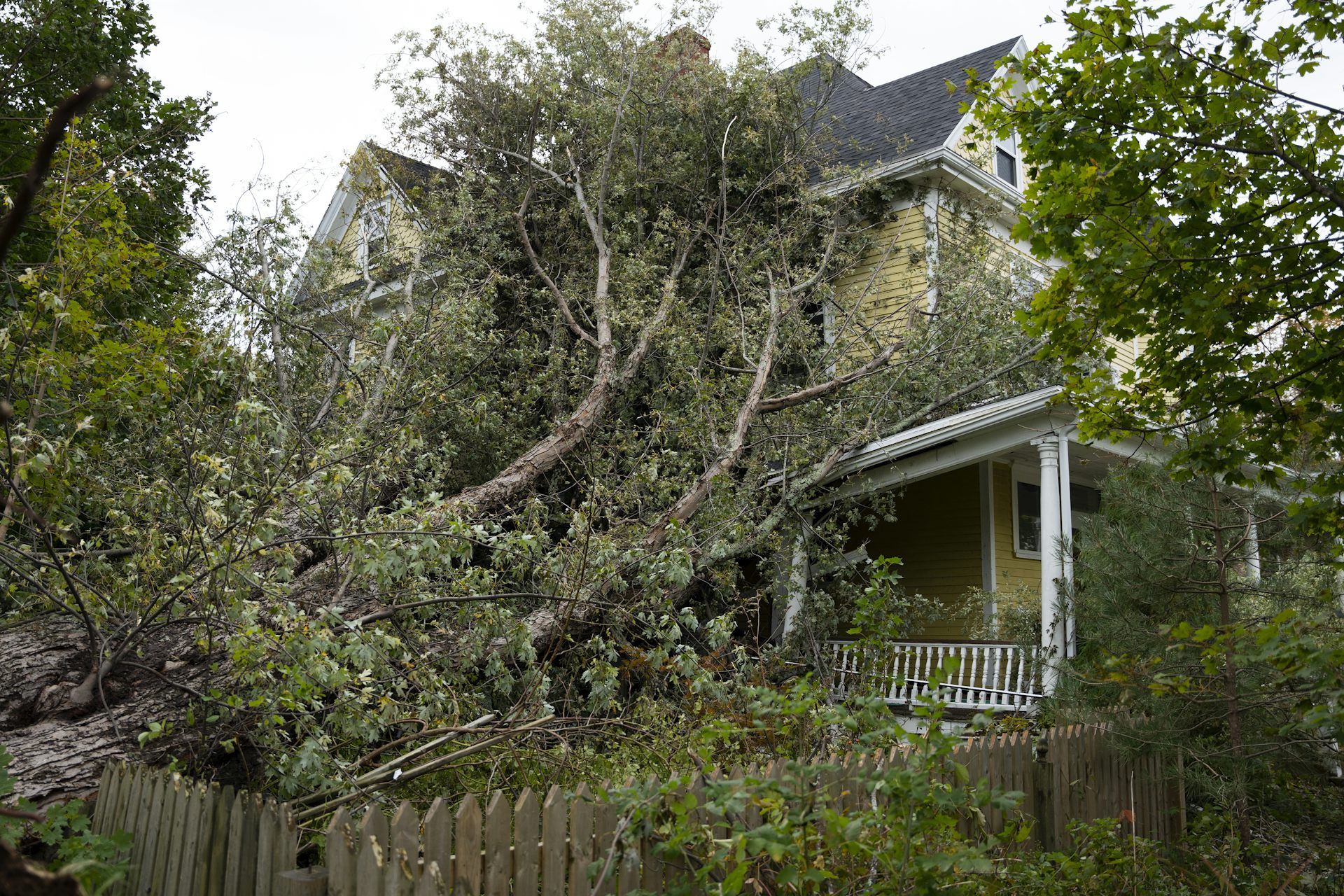Felled trees lean against a damaged clapboard house.
