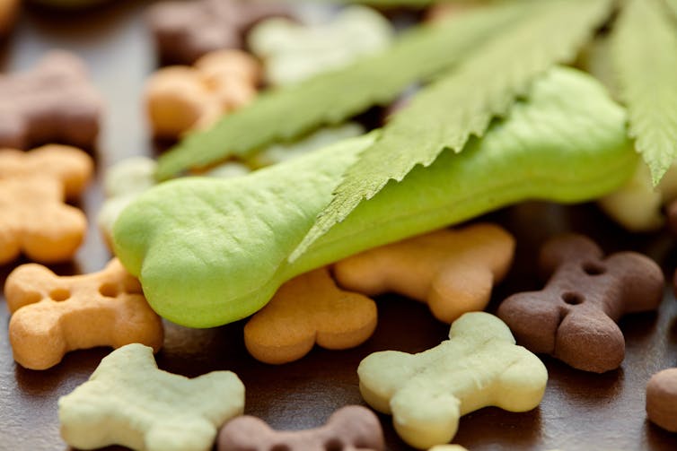 Hemp-based dog treats