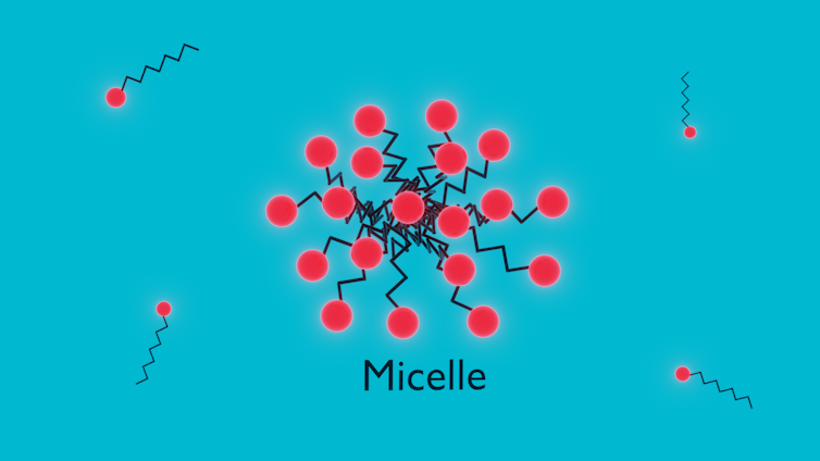 In micellar water, surfactant molecules arrange themselves into a micelle, with the hydrophilic heads pointing outward and the hydrophobic tails pointing inward.