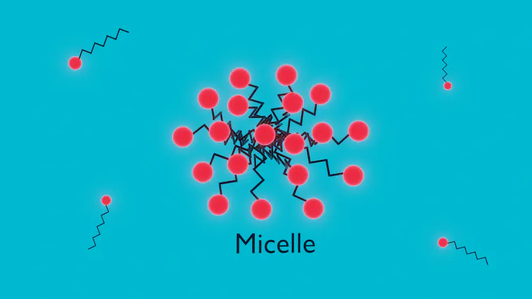 Um diagrama mostra moléculas de surfactante se organizando em uma micela, com as cabeças hidrofílicas apontando para fora e as caudas hidrofóbicas apontando para dentro.