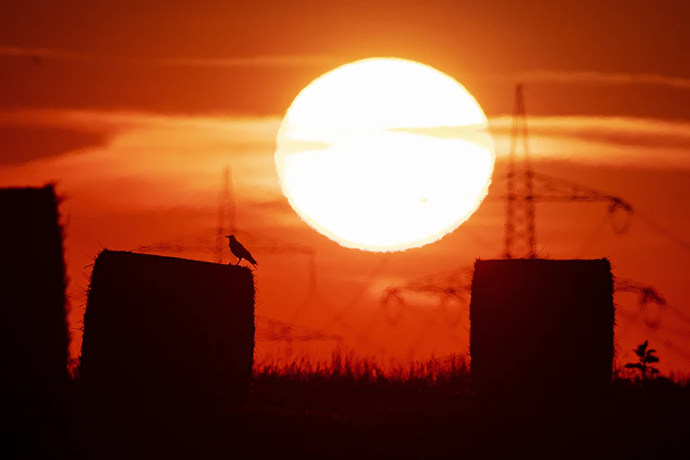 sun rises in orange sky