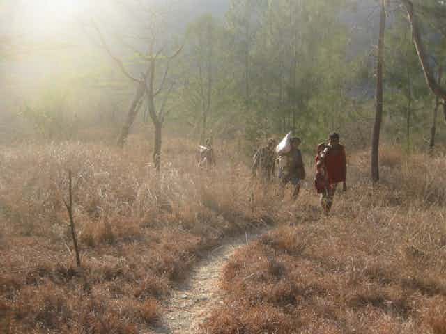 A small group of hunters in a dry landscape walk down a track