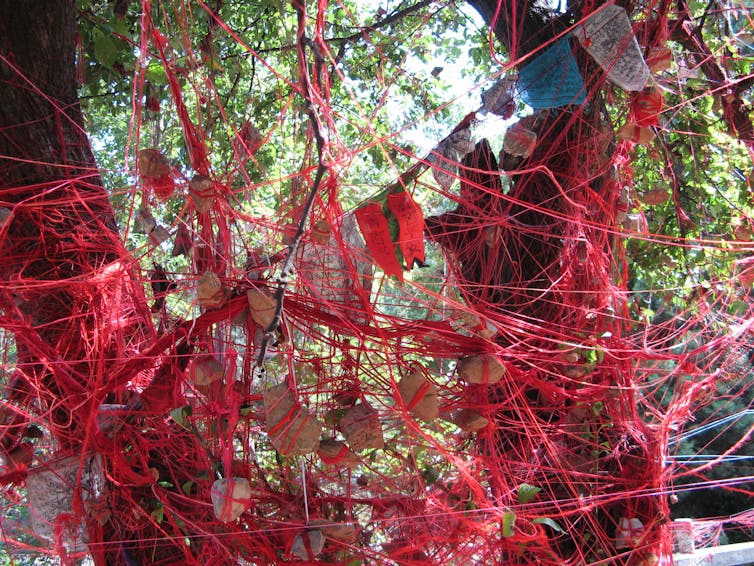 Red strings and prayer texts tied around a tree outside a shrine to the Old Man Under the Moon in Yunnan, China.