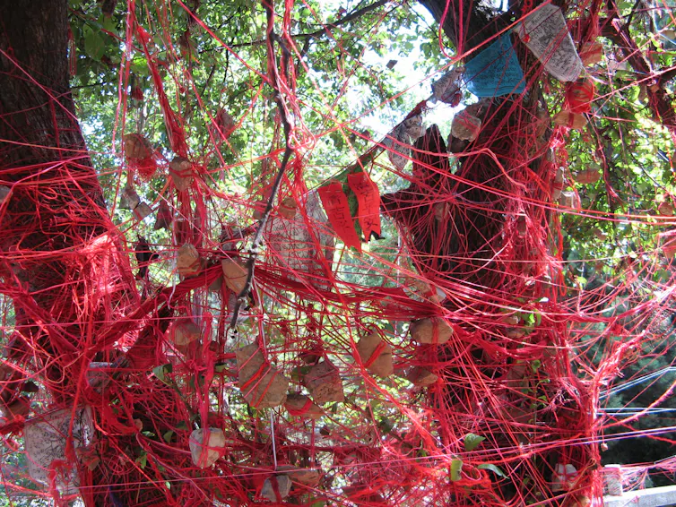 Red strings and prayer texts tied around a tree outside a shrine to the Old Man Under the Moon in Yunnan, China.