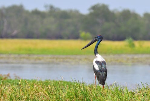 Climate change will strike Australia’s precious World Heritage sites – and Indigenous knowledge is a key defence