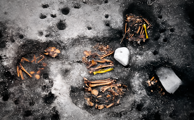 Une photo montre des restes d'os appartenant à des squelettes.