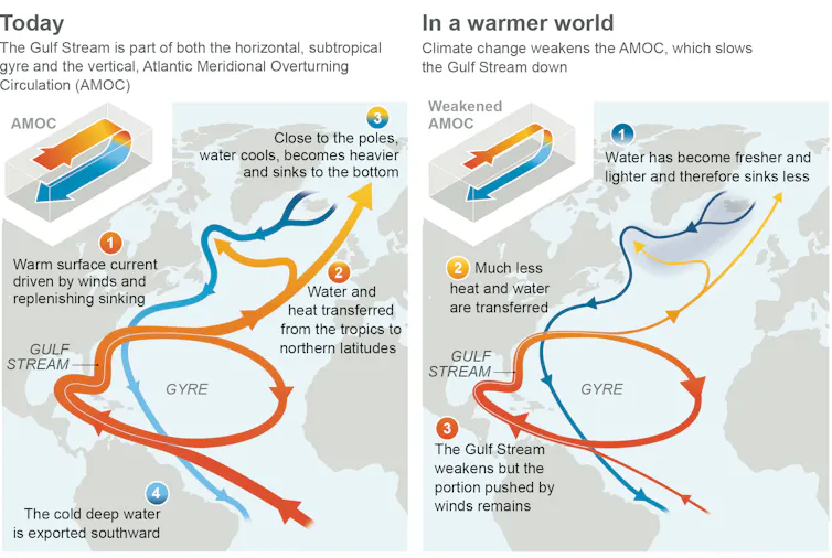 Two illustrations show how the AMOC looks today and its weaker state in the future
