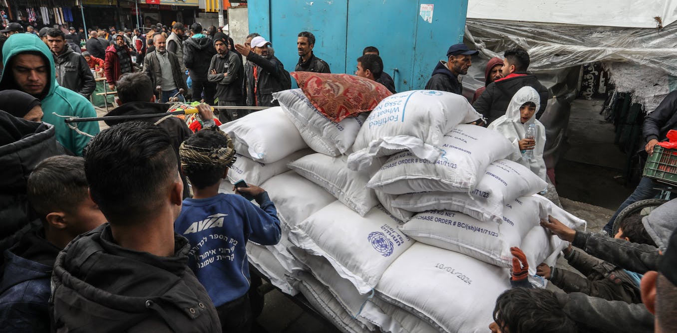 Israel contra la UNRWA: ¿Está en peligro la ayuda humanitaria a Palestina?