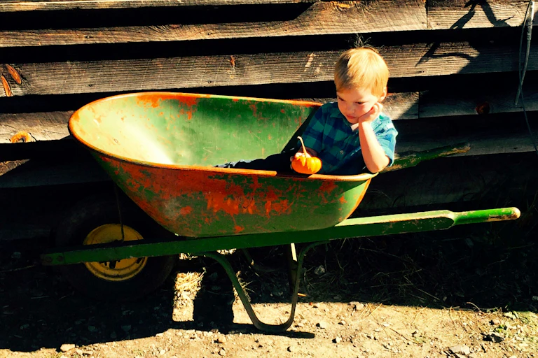 Enfant dans une brouette