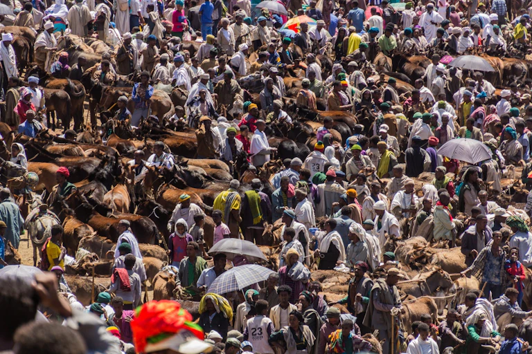 A crowd of people and animals seen from above.