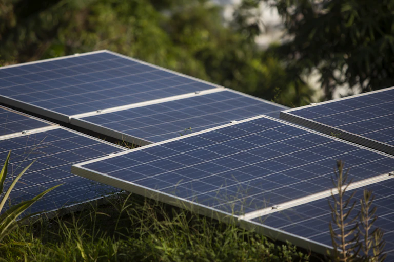 A set of thin metal solar panels pointed upwards, sitting in grass.