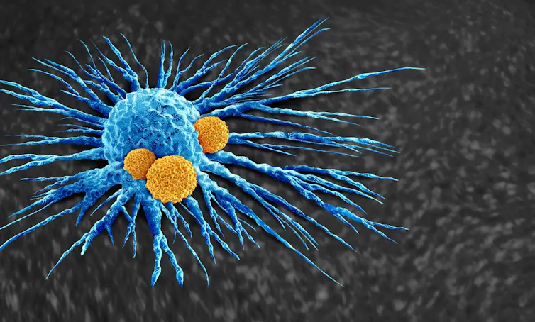 Cancer cell