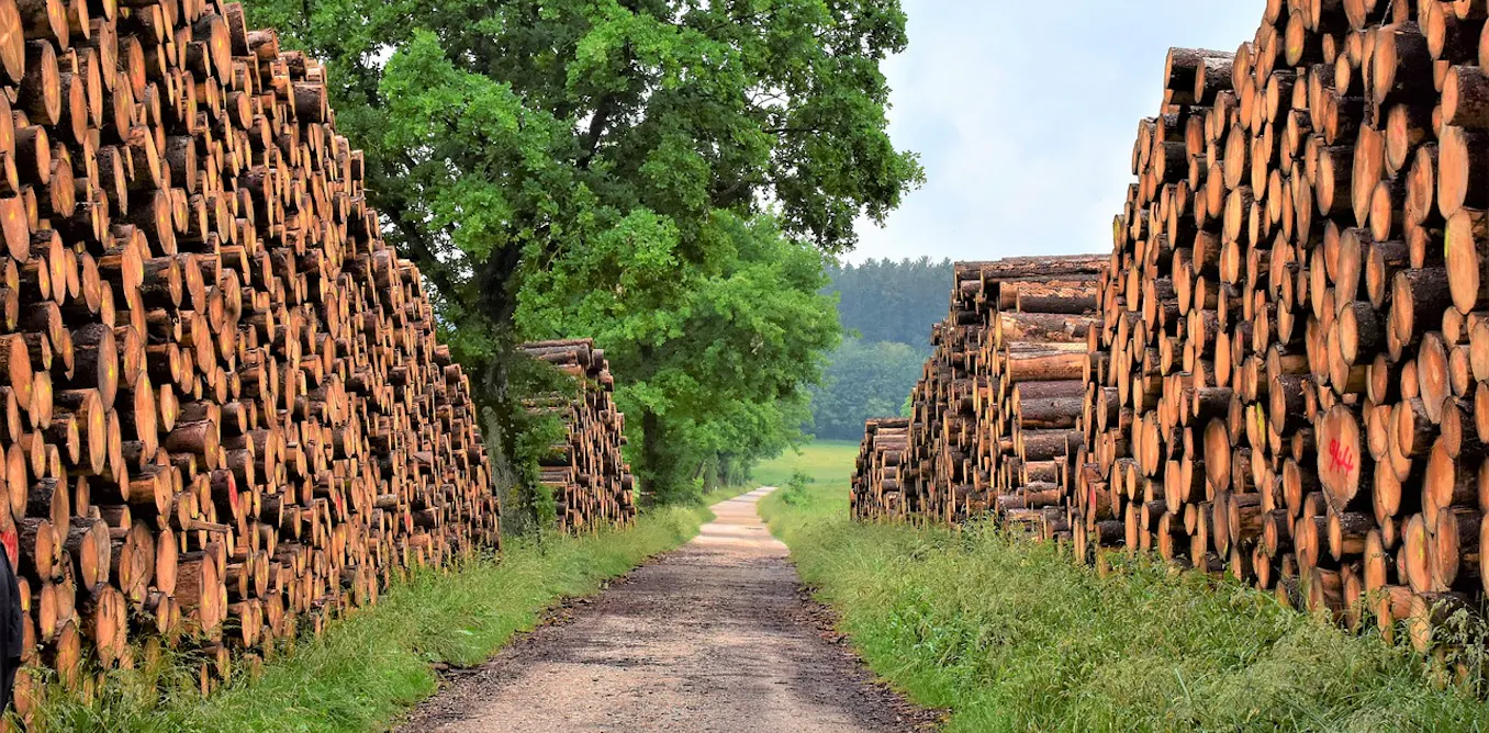 Peut-on promouvoir le chauffage au bois au nom de l’environnement ? Peut-on promouvoir le chauffage au bois au nom de l’environnement ?