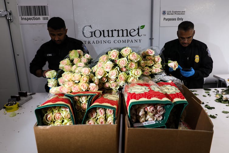 Two security agents dressed in black inspect cardboard boxes filled with white and yellow flowers.