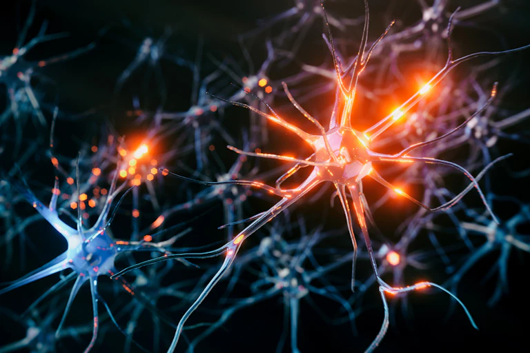 An illustration of excited neurons in the brain, highlighted in bright orange.