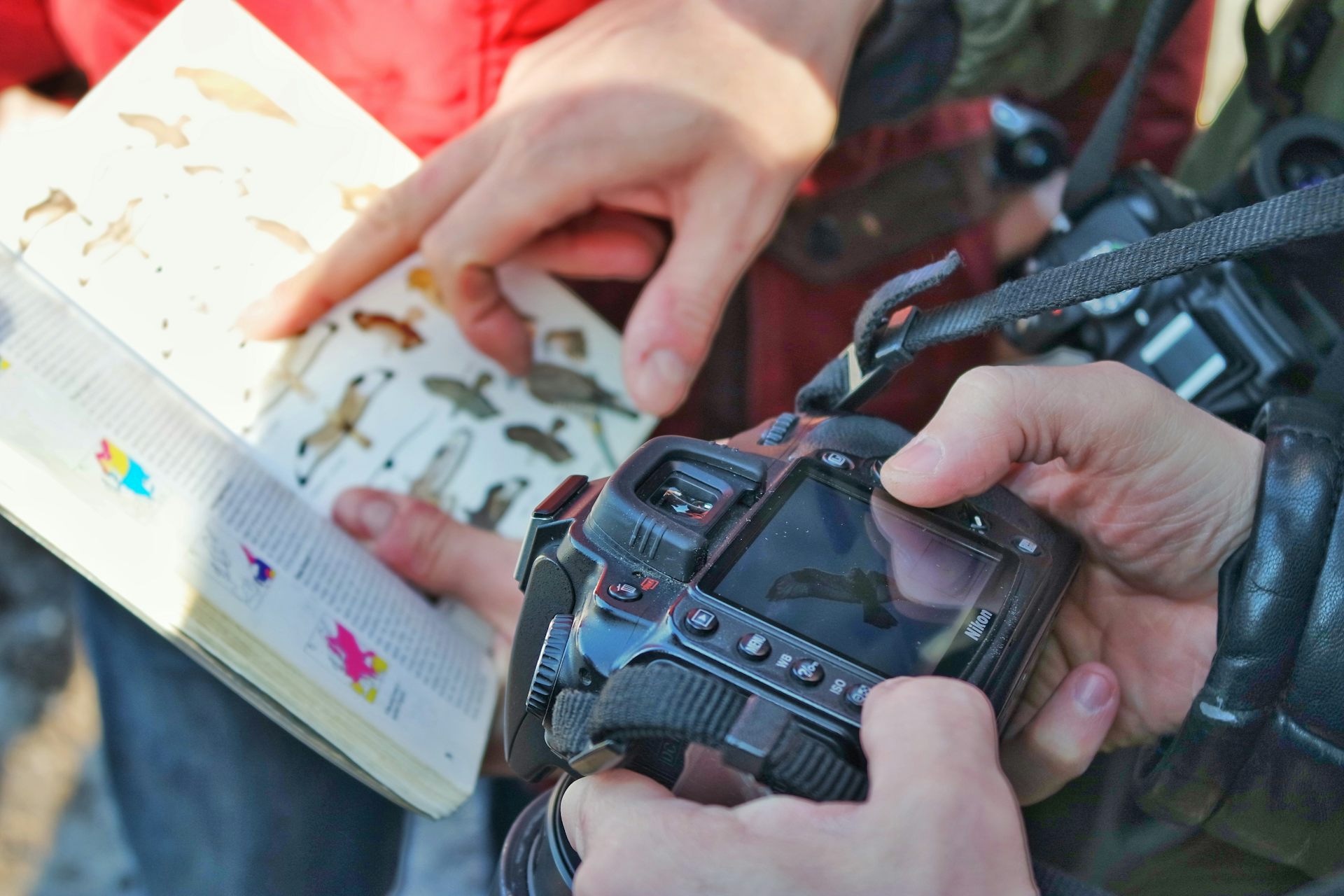 citoyen Notícias, Pesquisa e Análise The Conversation página 1