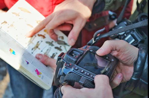 citoyen Notícias, Pesquisa e Análise The Conversation página 1