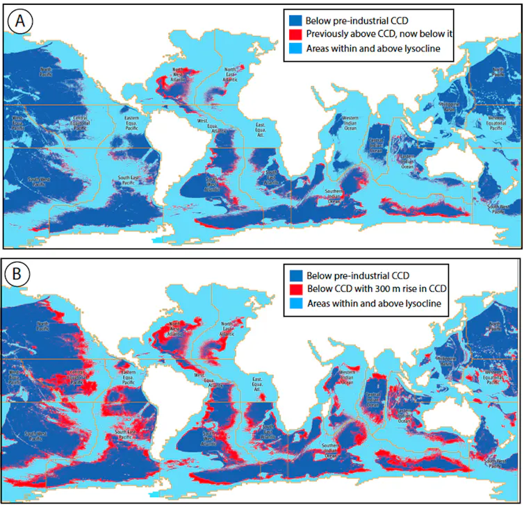 These maps show the changes in area of ocean exposed to corrosive bottom waters in 17 different regions. The pre-industrial CCD is dark blue and areas above the lysocline are light blue. Map A shows the present day and map B shows a lysocline rise of 300 metres.
