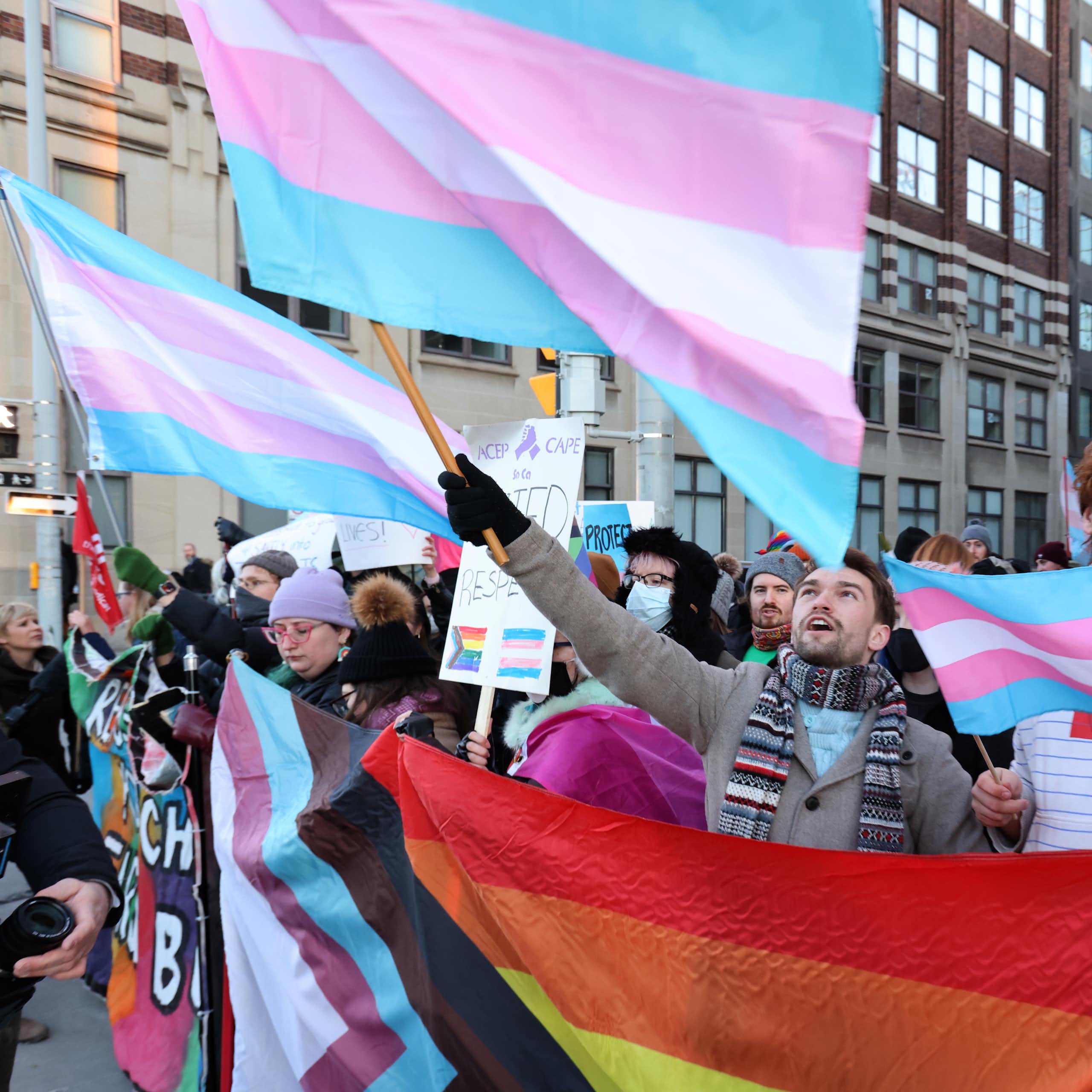 People waving blue, pink and white transgender flags 