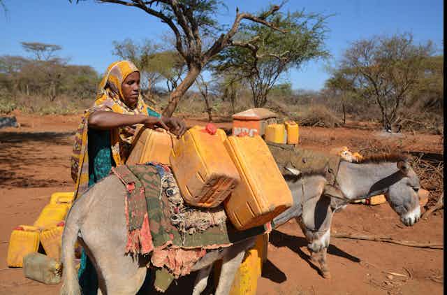A woman fastening containers of water onto a donkey's back.