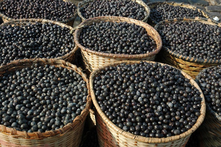 Wicker baskets filled with purple acai fruit.