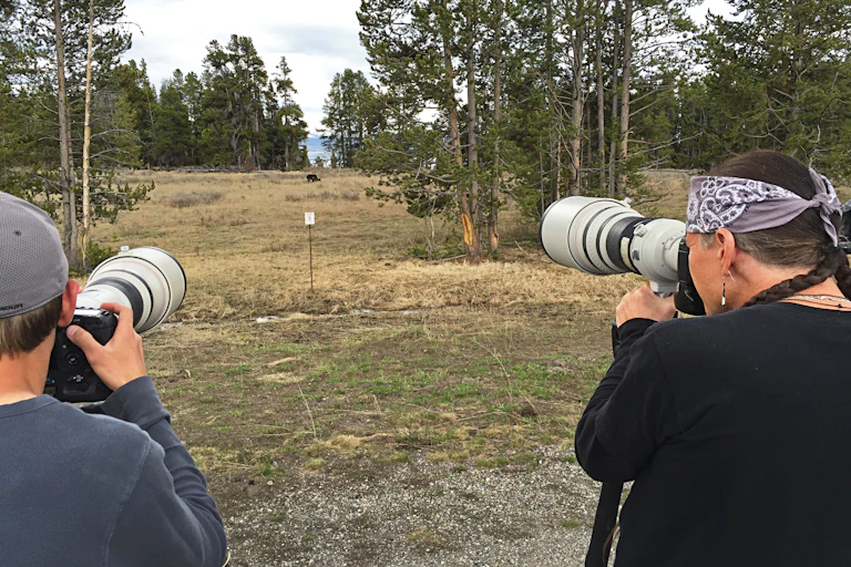 Two photographers with long camera lenses photograph a grizzly bear at a distance of several hundred feet in Yellowstone National Park.