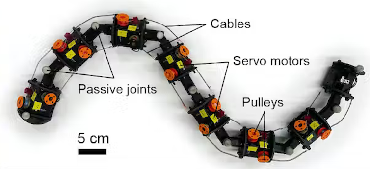 A diagram showing the design of MILLR, with servo motors on each body segment, and cables and pulleys connecting them.