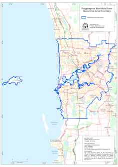 A map of Perth and the Polyphagous shot-hole borer quarantine area