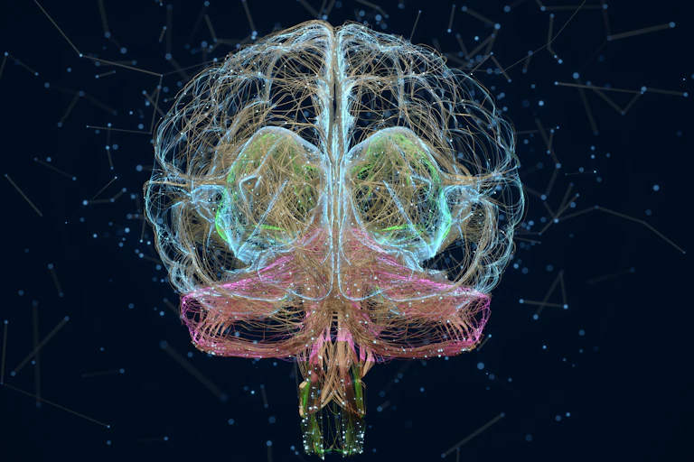 Brightly colored threads in the outline of a brain shape float against a dark background with constellation-like patterns.