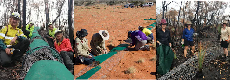 three photos showing people erecting animal refuges