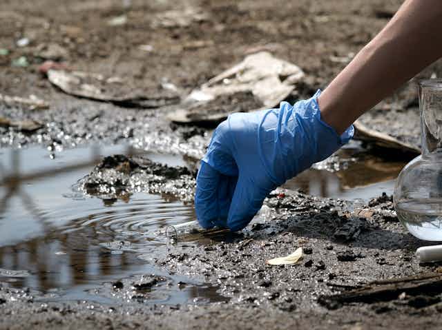 a hand with a blue glove holds a test tube just above a puddle of muddy water