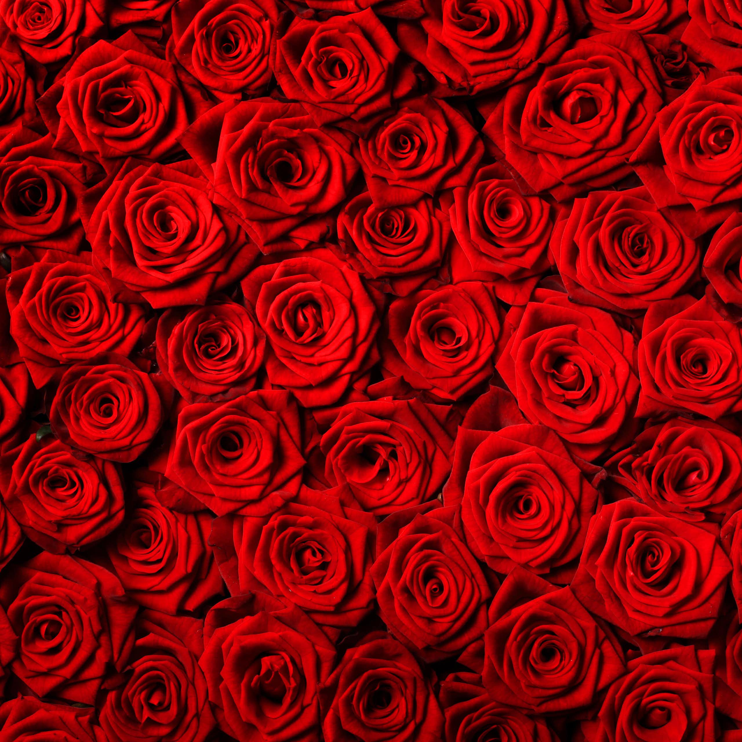La rosa roja, objeto de la globalización