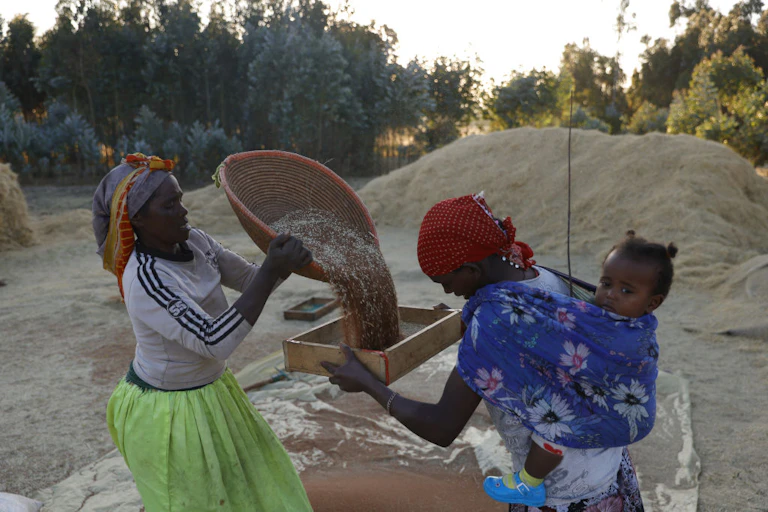 A woman pouring grain into a box being held by another woman who has a baby tied to her back