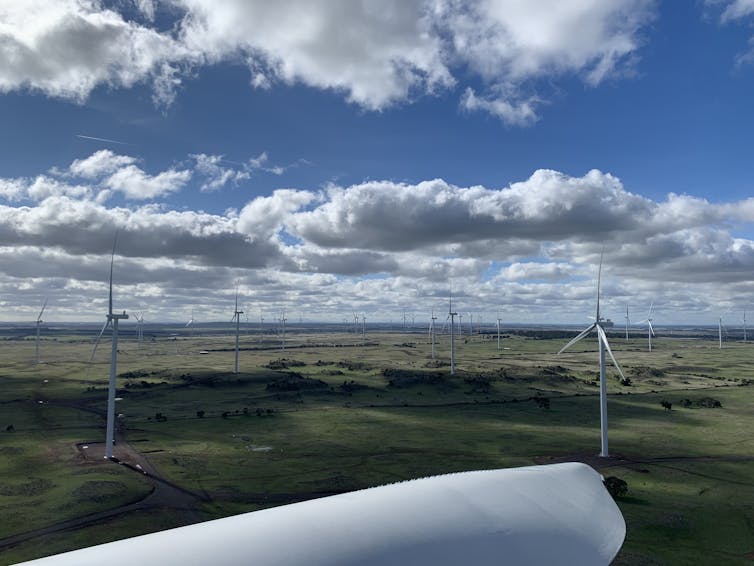 wind farm in green setting