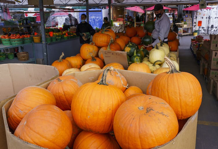 Bins of pumpkins sit under an awning.