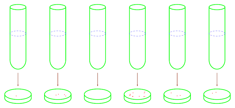 Ilustración de seis tubos de ensayo y seis placas de Petri, algunas de las cuales contienen puntos rojos.