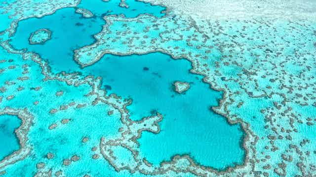 Aerial view of Great Barrier Reef in Whitsunday's Queensland Australia, famous love heart reef.